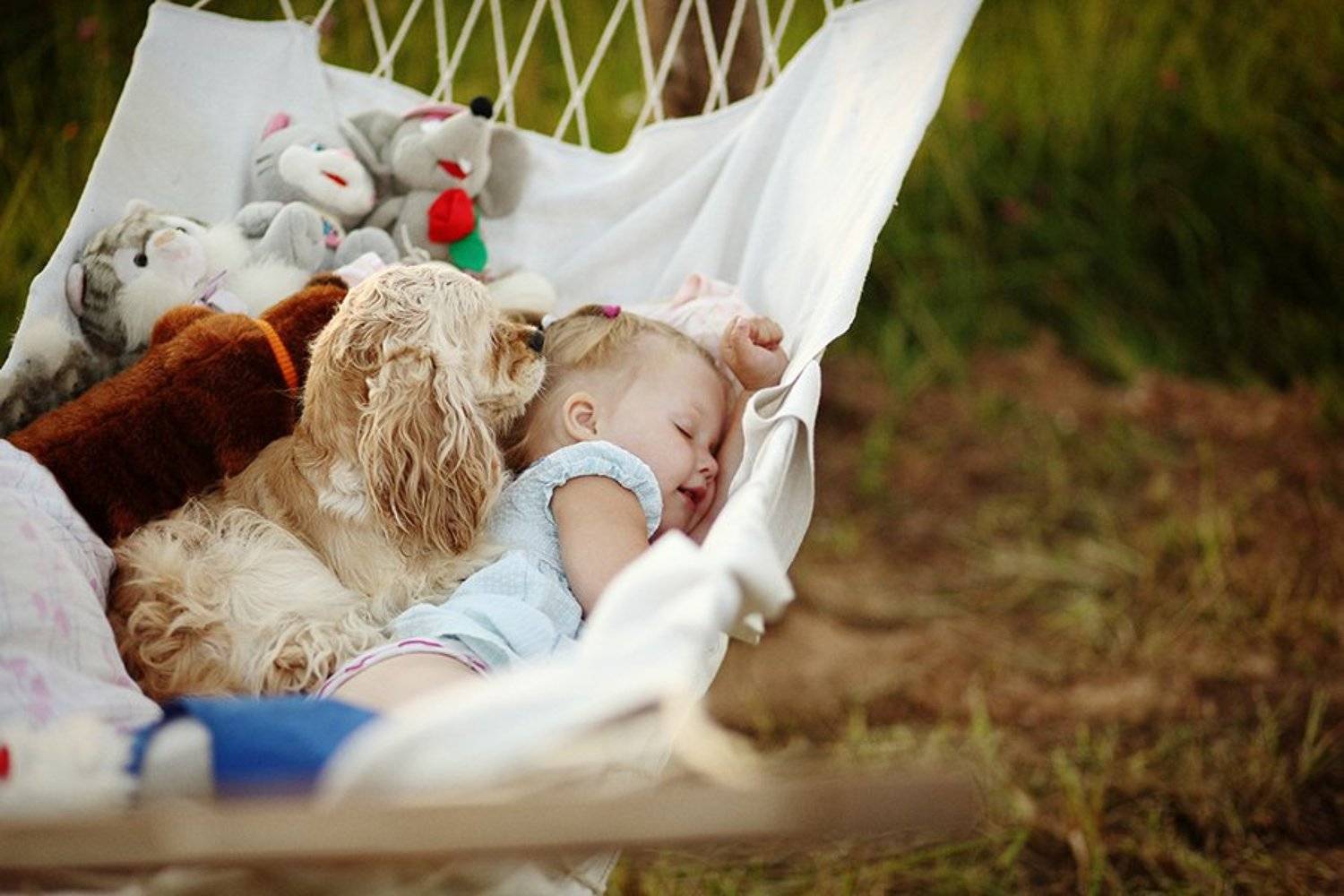 , Конашук Антон