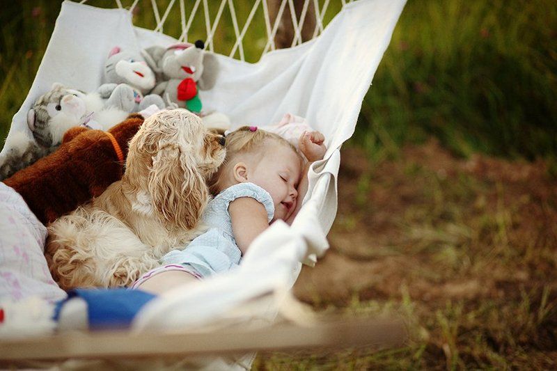 Ники и Рики фото превью