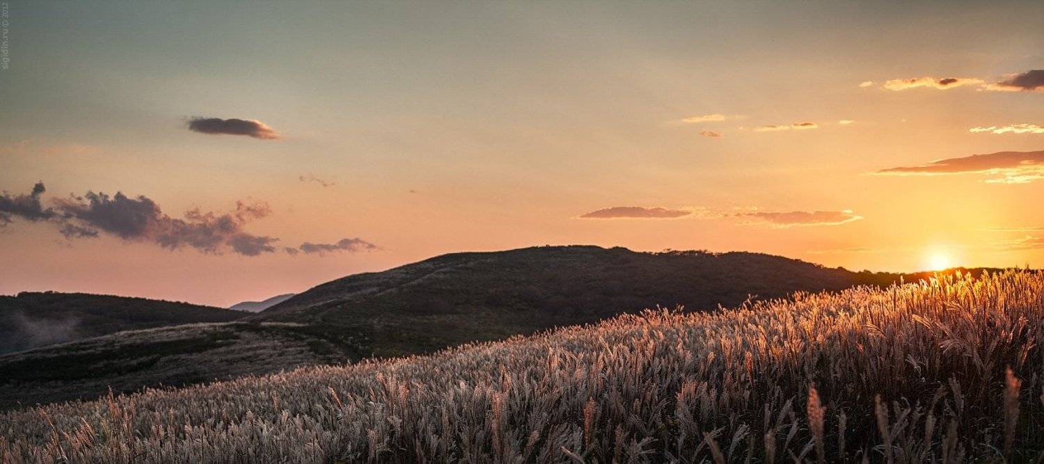 , Данил Сигидин