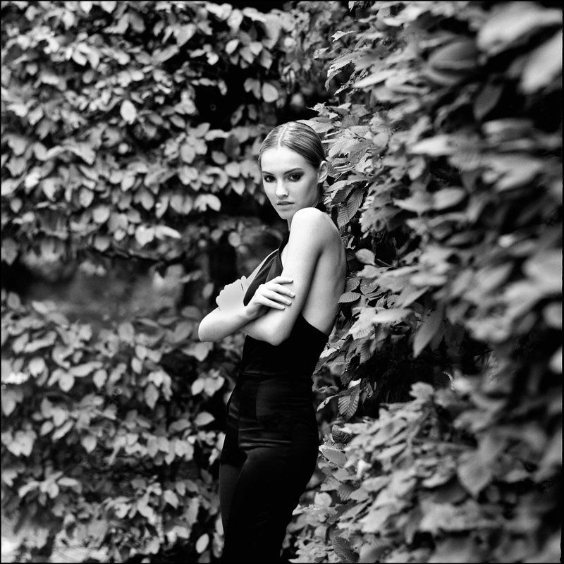 6x6,portrait *** фото превью