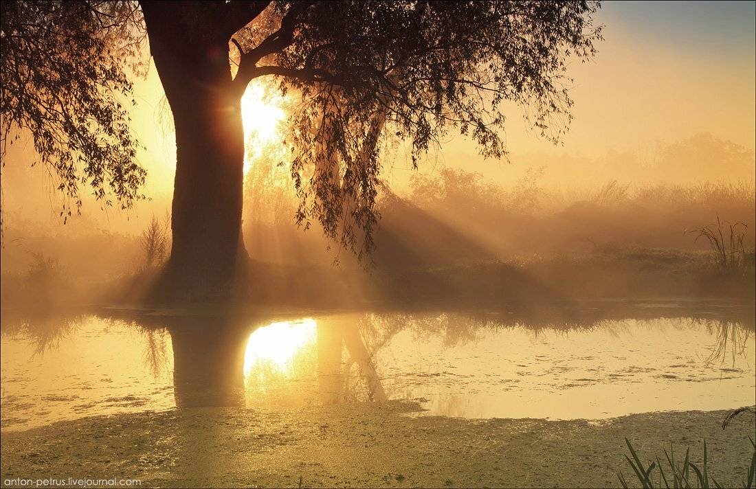 туман,рассвет,утро,озеро,осень,отражение, Антон Петрусь