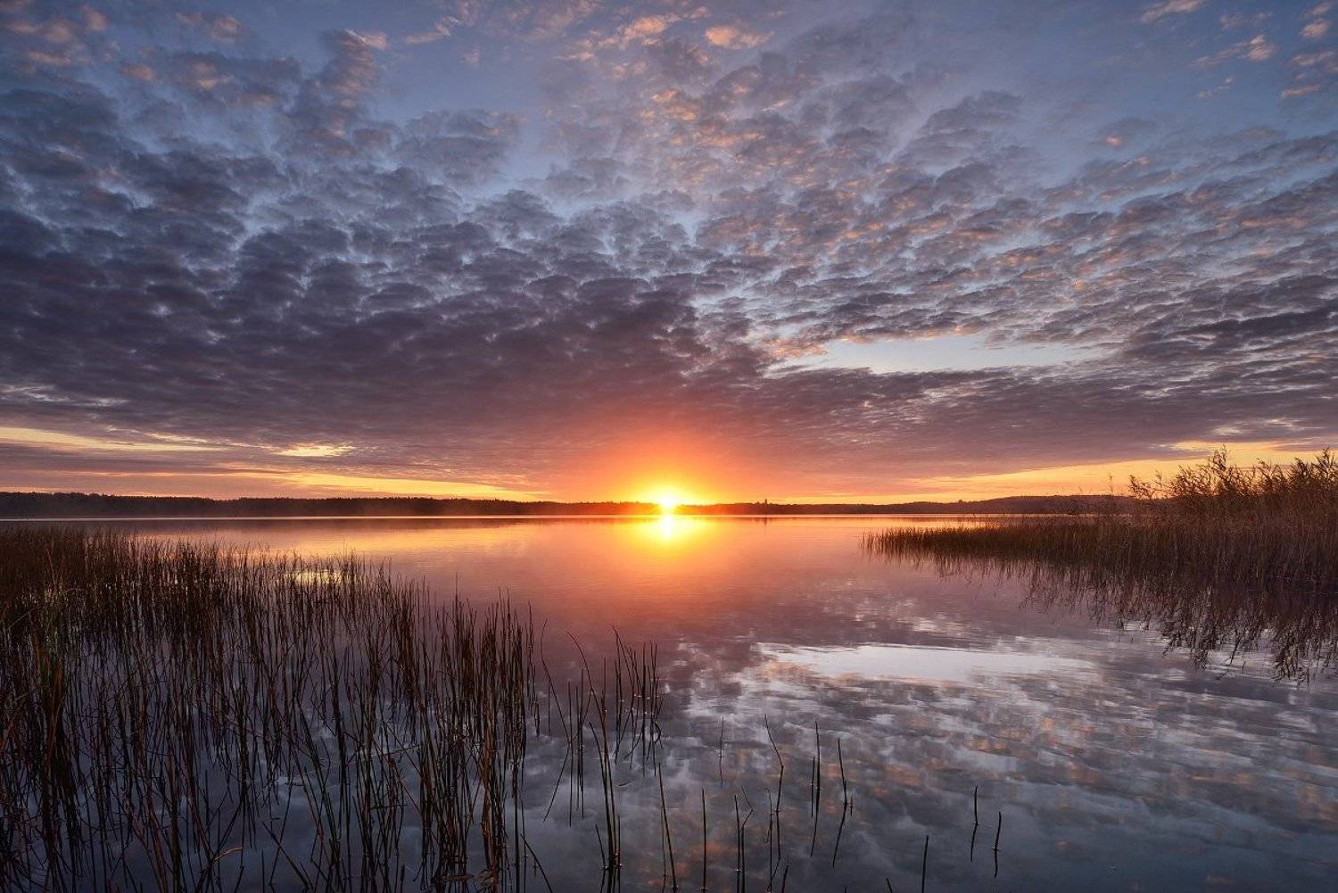 , Максим Евдокимов