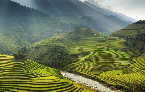 CHECUNHA - Вьетнам