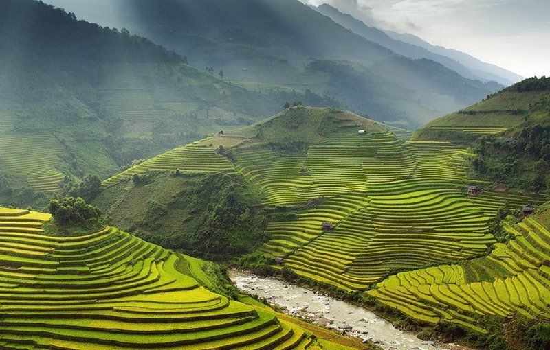 CHECUNHA - Вьетнам фото превью