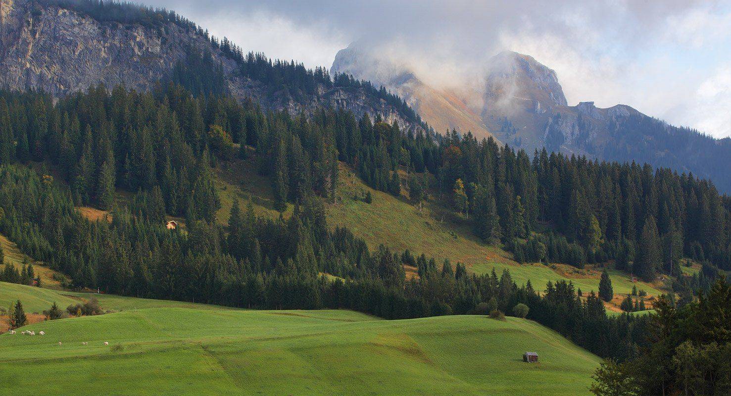 австрия, альпы, Игорь Дубровский