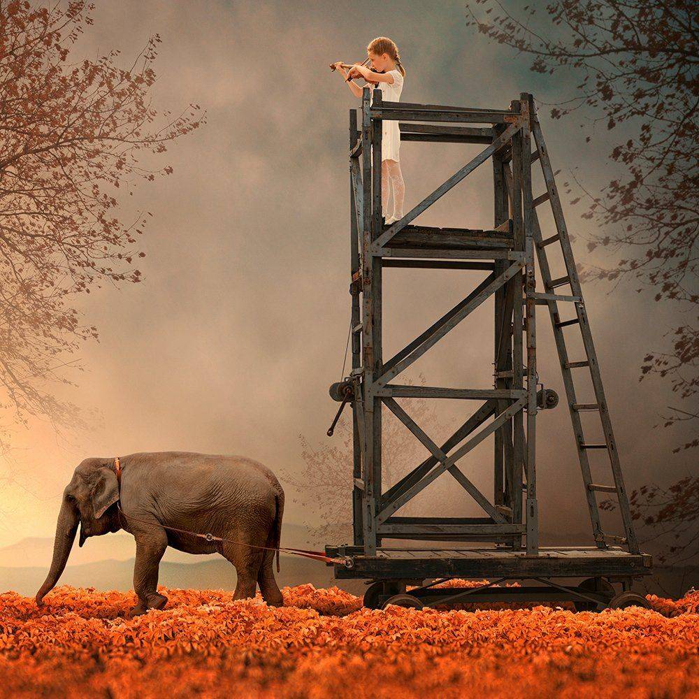 , Caras Ionut