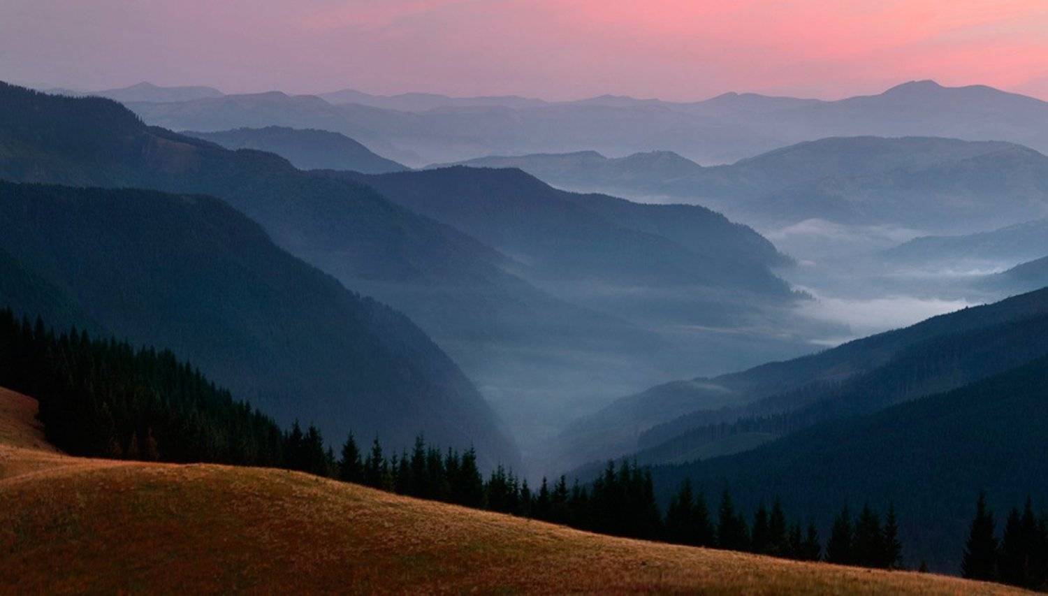 , Юрий Cазин