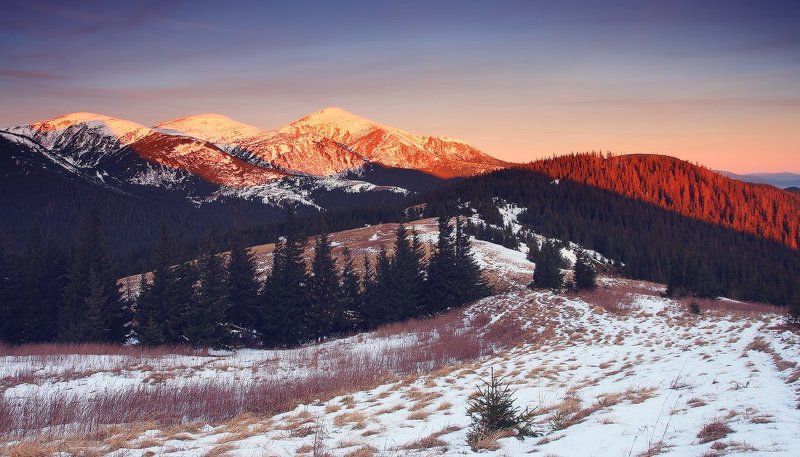 карпаты, горы, , украина, черногора, снег, говерла, утро Первый снег фото превью