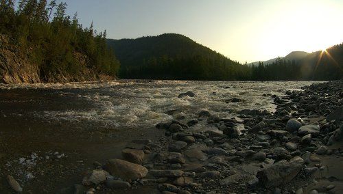 Рассвет в Амурской тайге