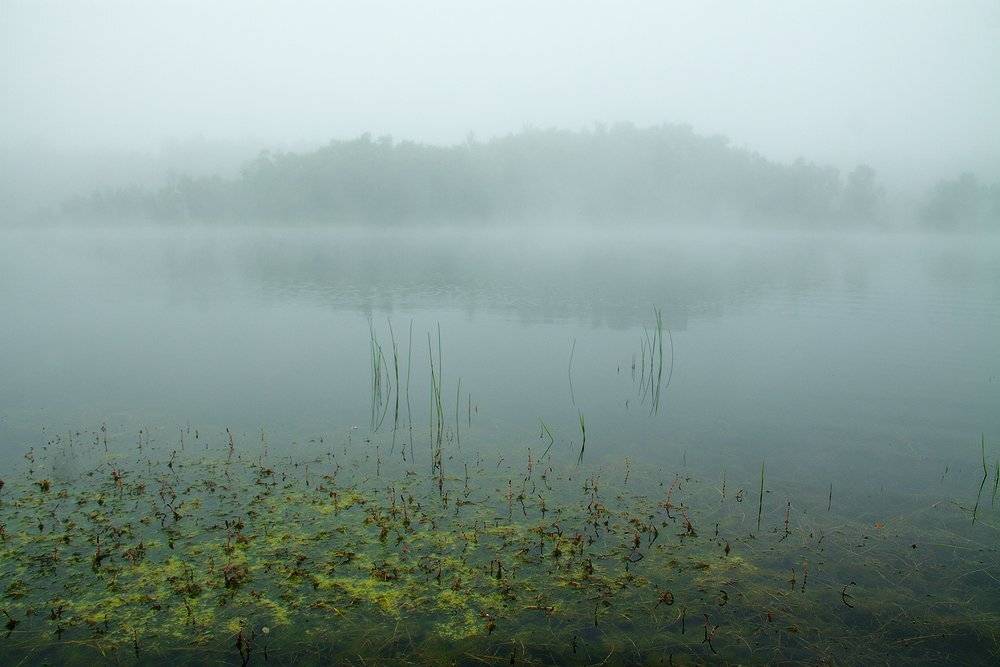 , Николай Морский