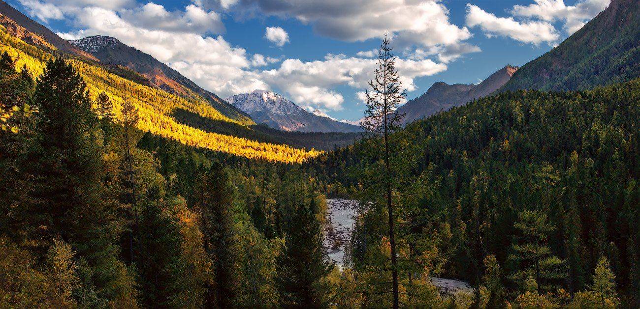 , Владимир Ляпин