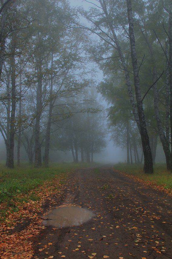 , Михаил  Пилипенко