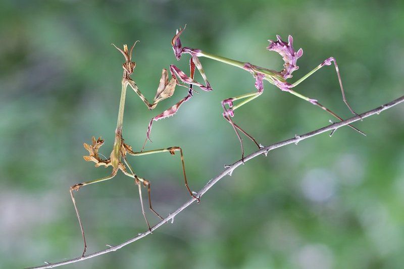 fight club фото превью