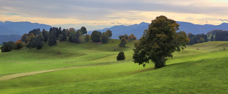 бавария о зелёных лугах в голубой дали фото превью