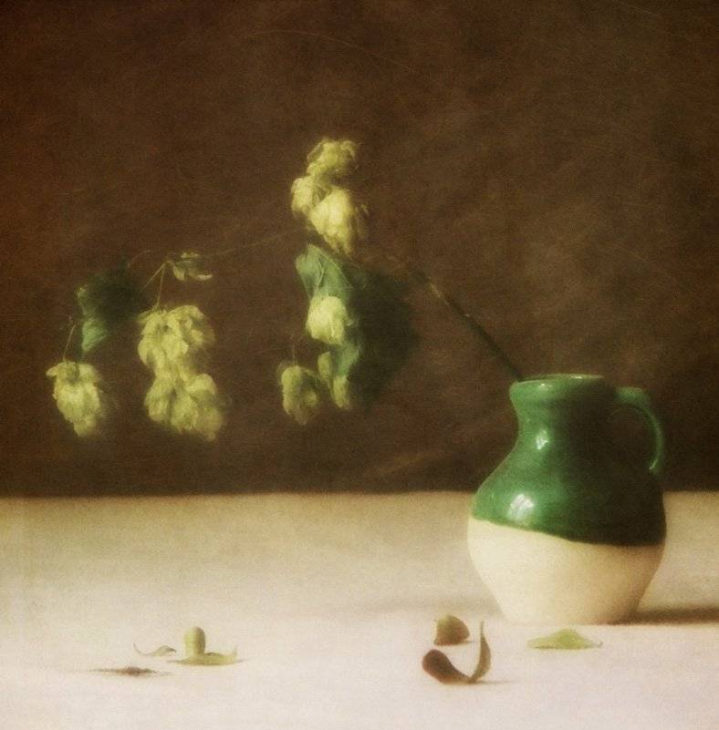 , Юлия Володина