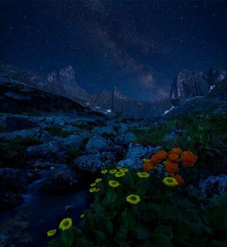 звезды над Звездным