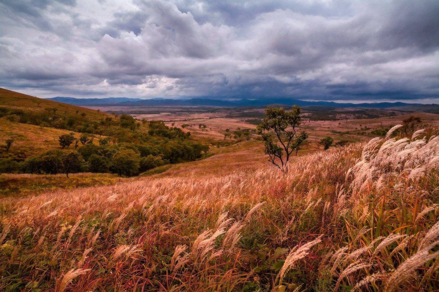 осень, тучи, ветер, простор, Андрей Кровлин