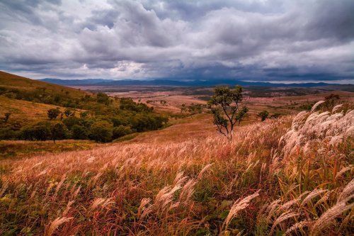 Дыхание осени...