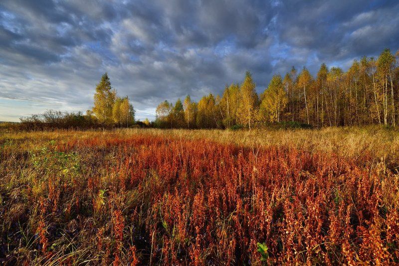 вашутино *** фото превью