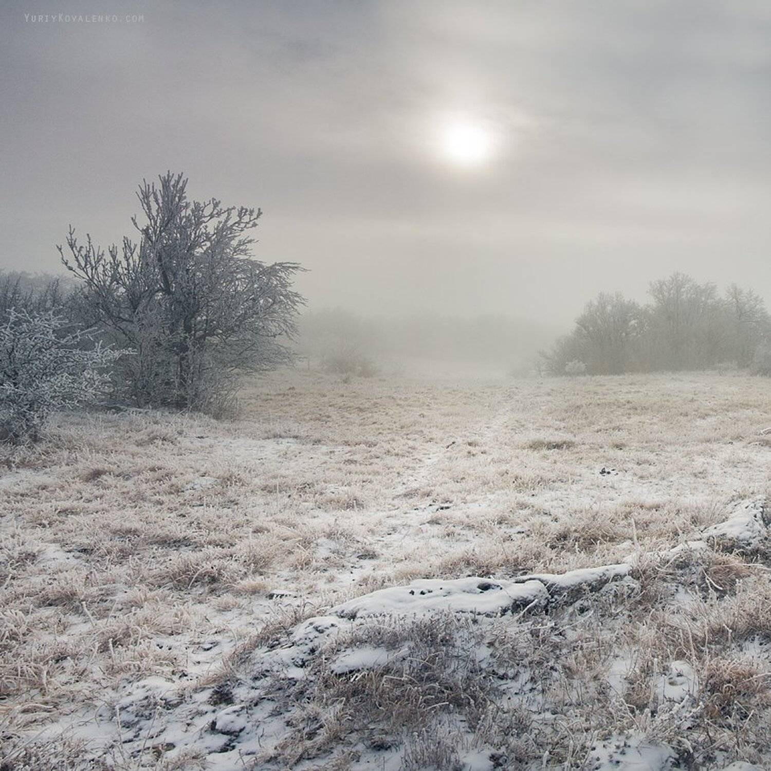 kovalenko, крым, пейзаж, туман, зима, иней, Юрий Коваленко