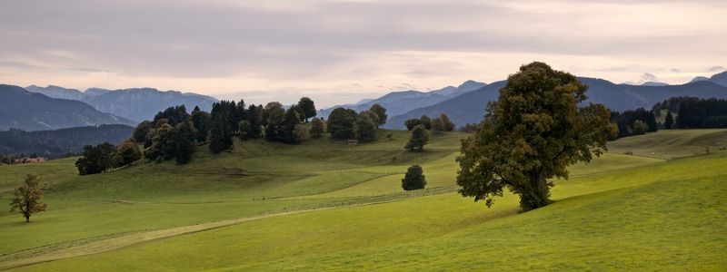 германия,пейзаж.луг. О зелёных лугах в голубой дали 2. фото превью
