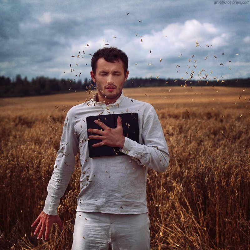 Отзвуки войны фото превью