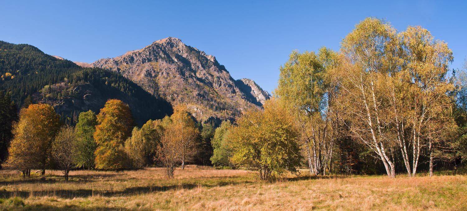 теберда, осень, поляна, Николай Мысливцев
