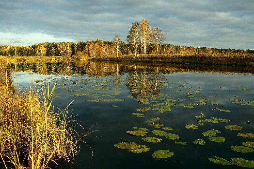 , Николай Морский