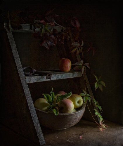 С румянцем яблочки