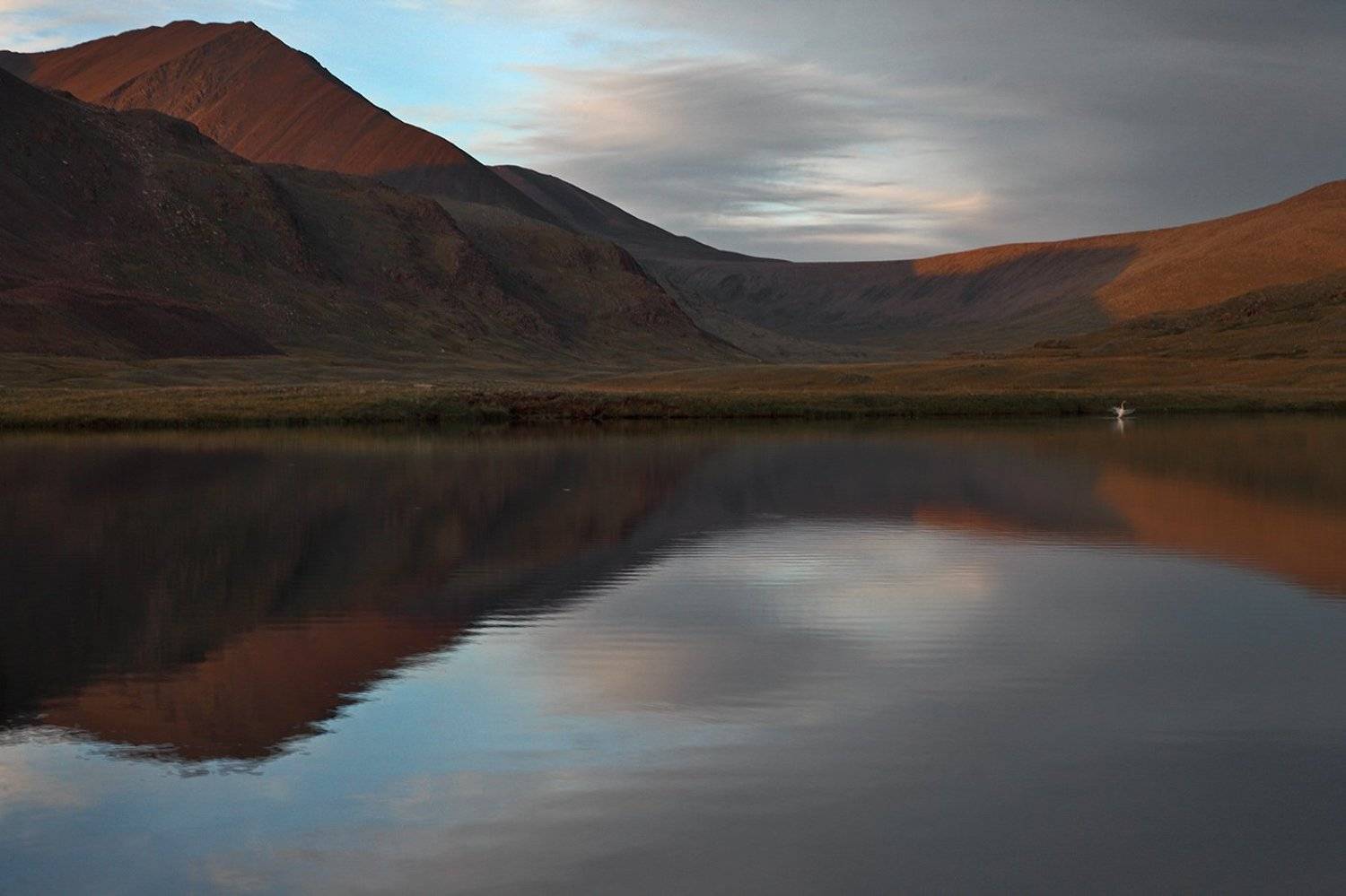 , Эбель Алексей