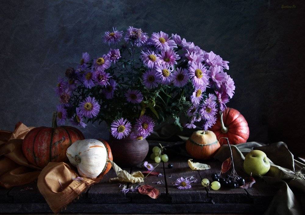 цветы, натюрморт, Svetlana Ра