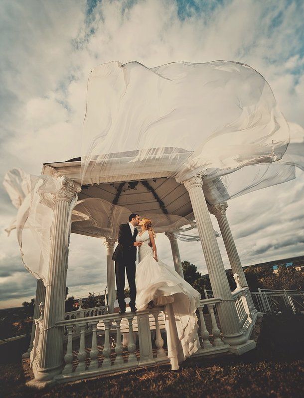 wed фото превью