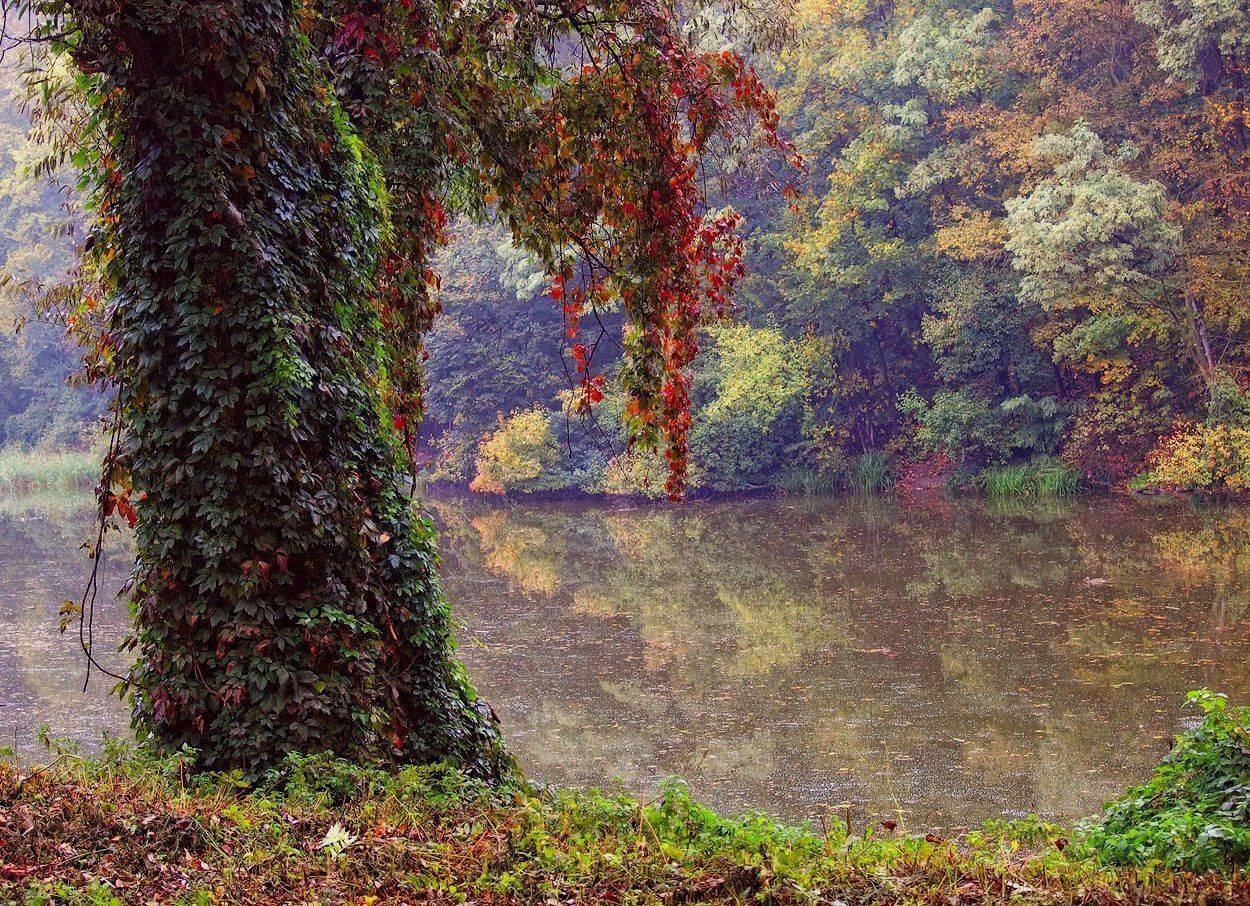 , Владимир Перепечаев