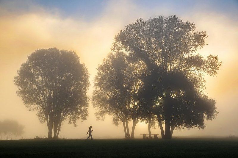 она и утро фото превью