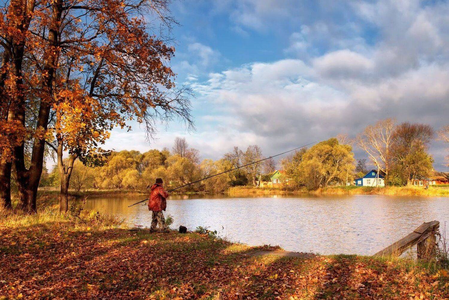 , Максим Евдокимов