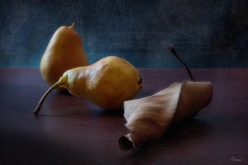 сухой, лист, груши Осень фото превью