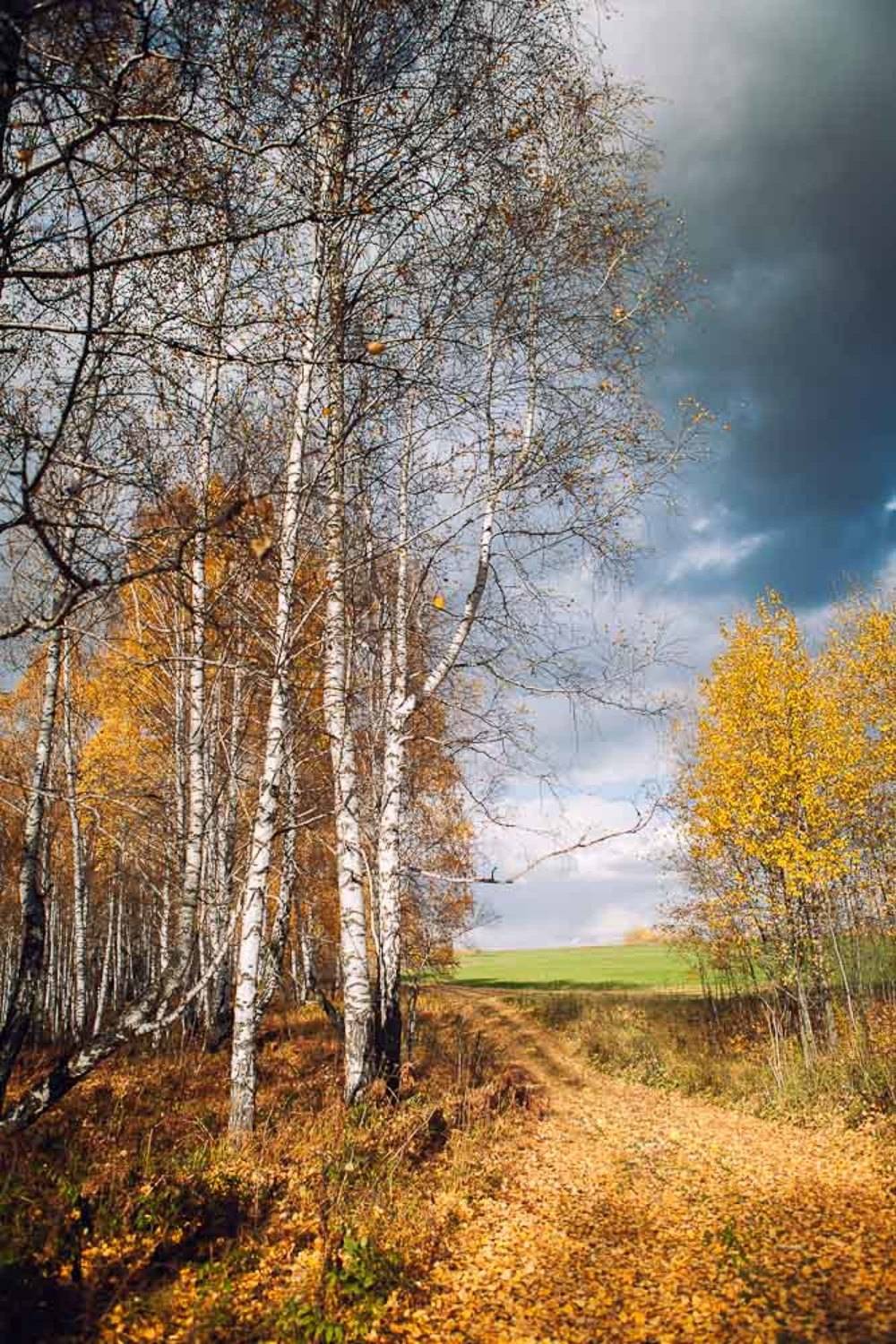 , Денис Чуркин