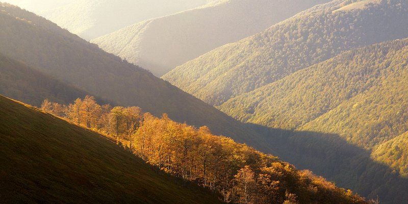 ... фото превью