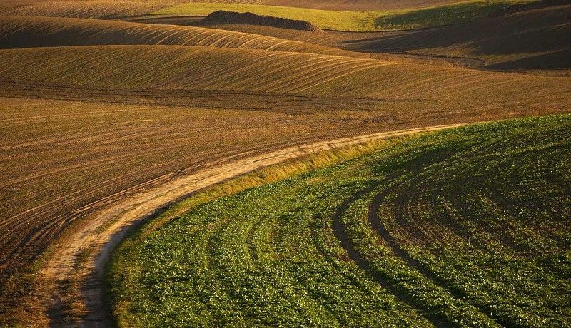 /// фото превью