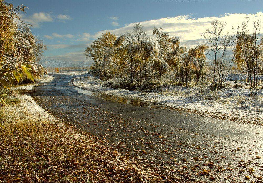 , Николай Морский