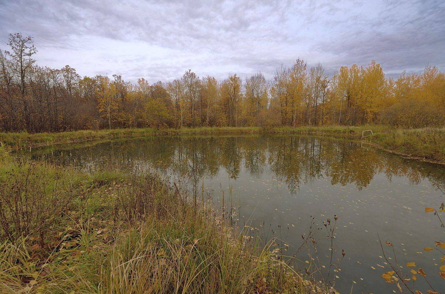 , Евгений strannik521