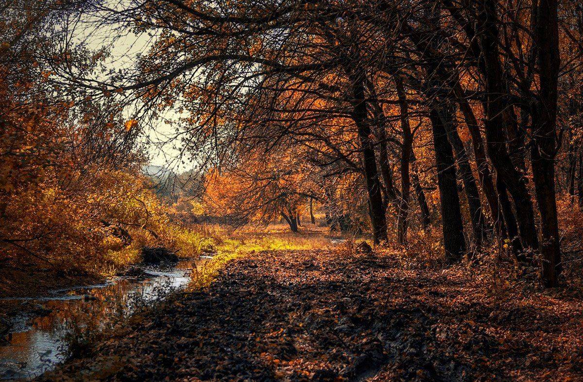 , Игорь Мелекесцев