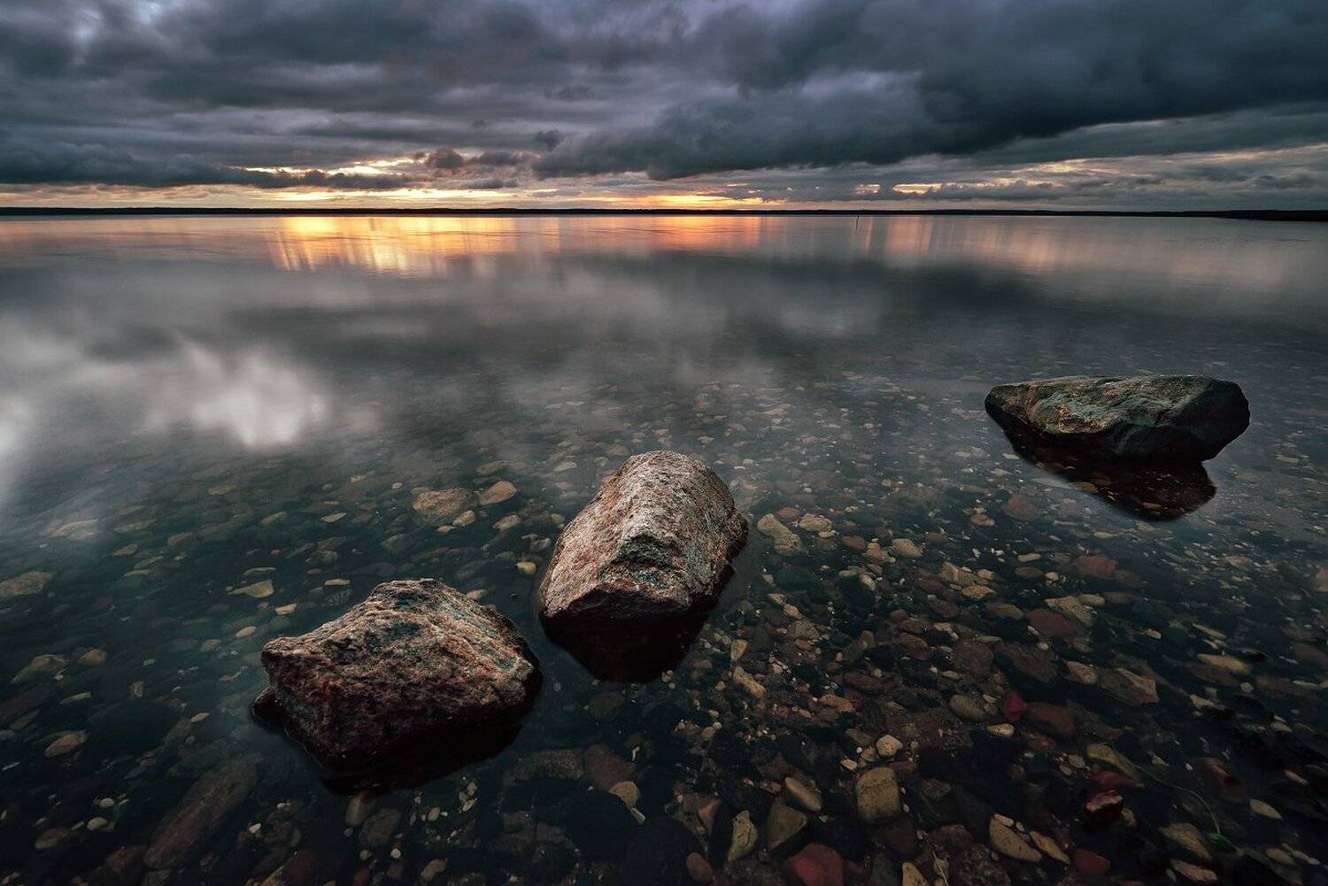 , Максим Евдокимов