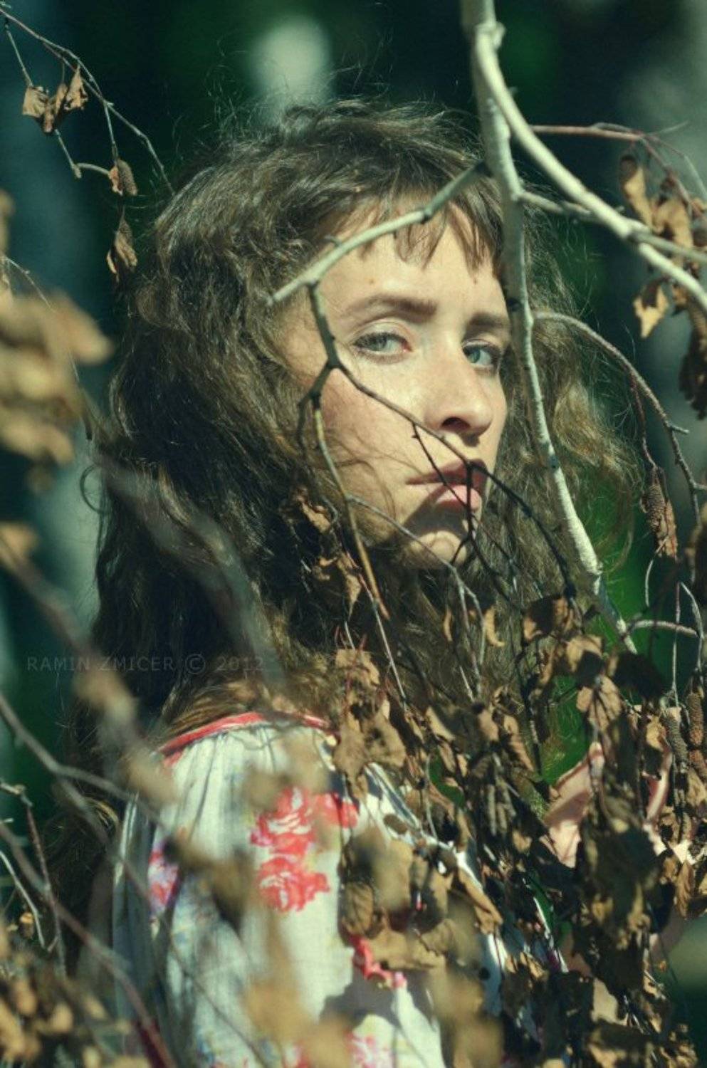 фото, портрет, девушка, лето, природа, цвет, RAMIN ZMICER