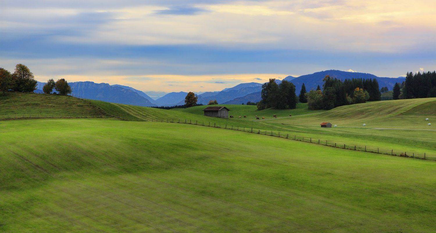 бавария, Игорь Дубровский