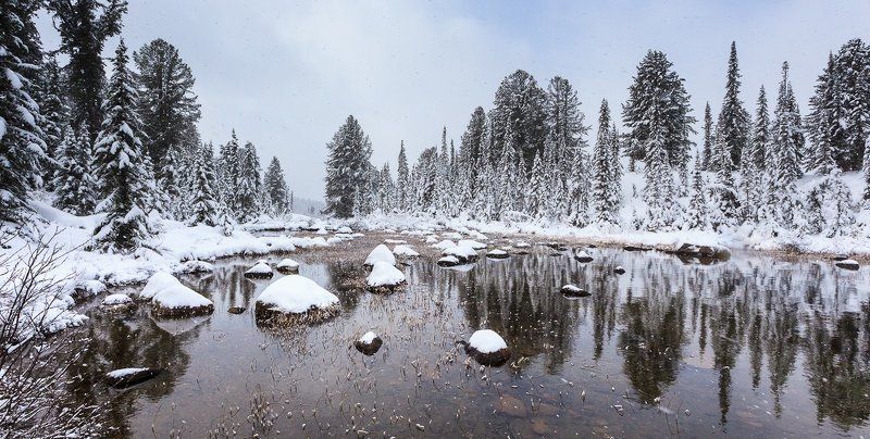 тихо падал молодой снег фото превью