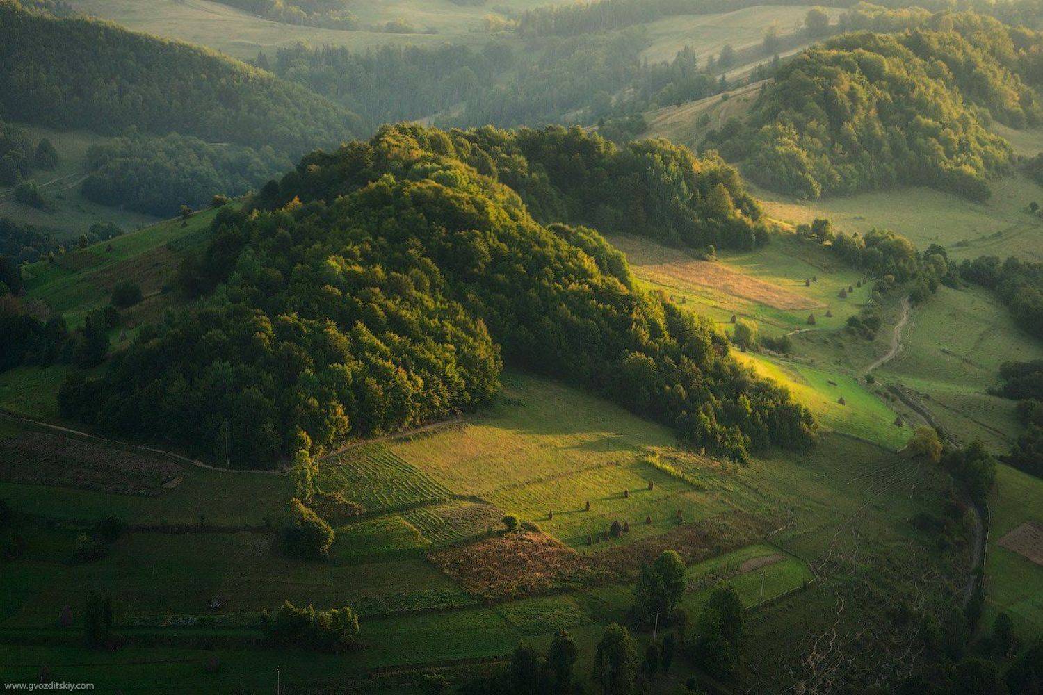 , Гвоздицкий Алексей