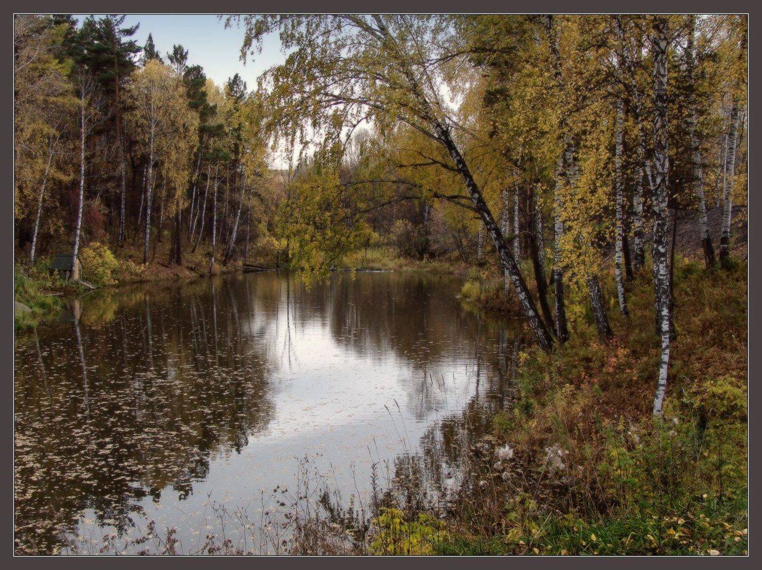 , Галина Хвостенко