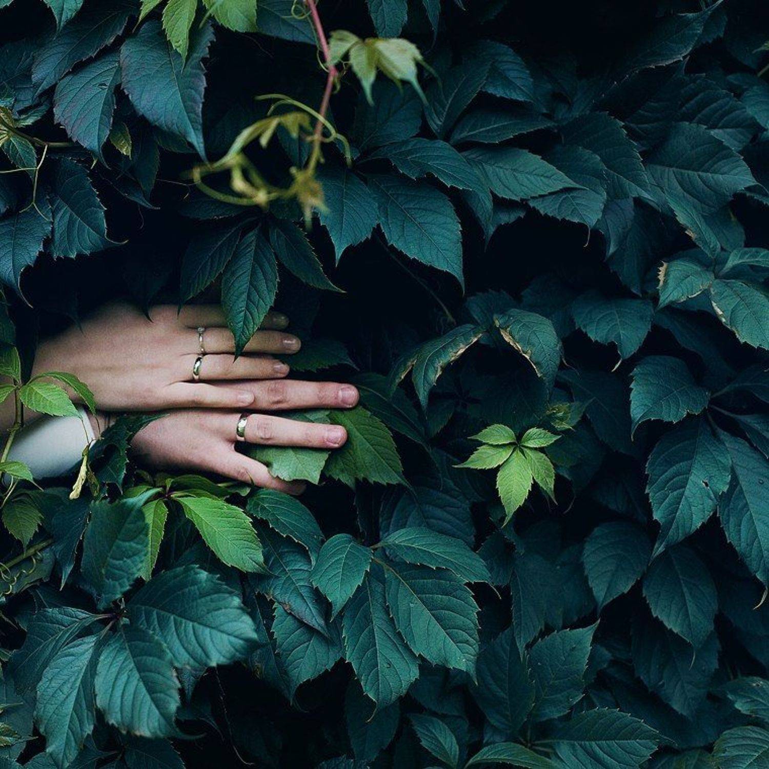 , Женя Белан