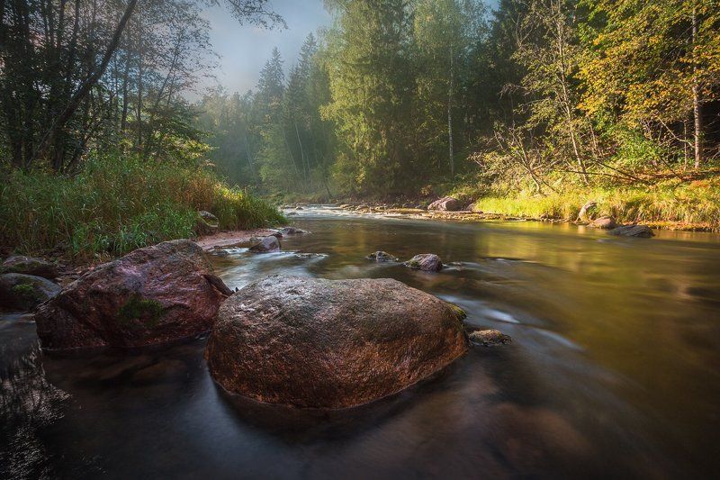 Амата в сентябре фото превью